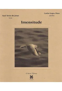 Imensitude
