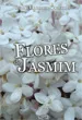 Flores de Jasmim